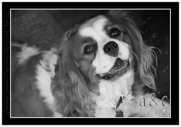 AftonBlanton3m_0061fb